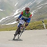 Zipp